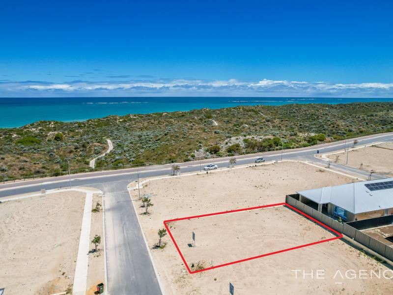 3 Junonia Way, Jindalee WA 6036