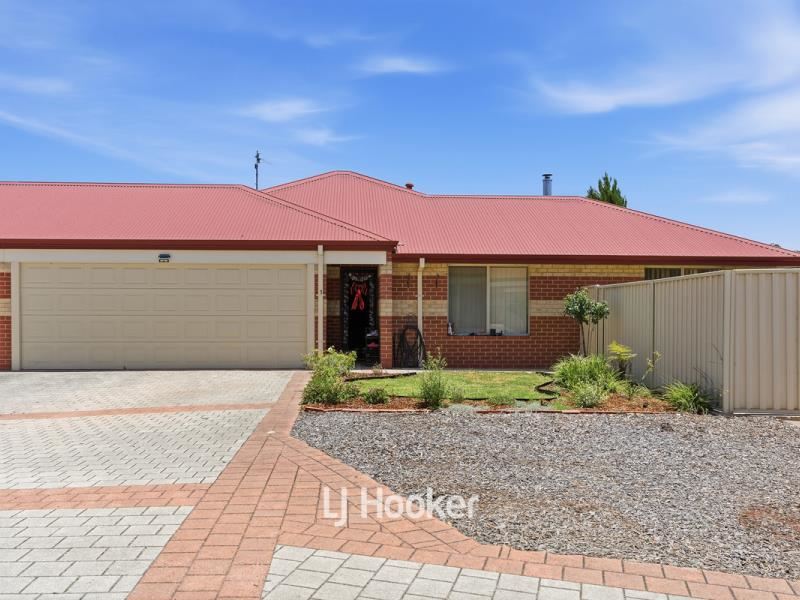 3/8 Ash Mews, Collie
