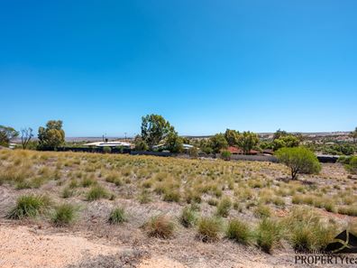 21 Erwood Road, Northampton WA 6535