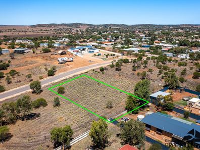 21 Erwood Road, Northampton WA 6535
