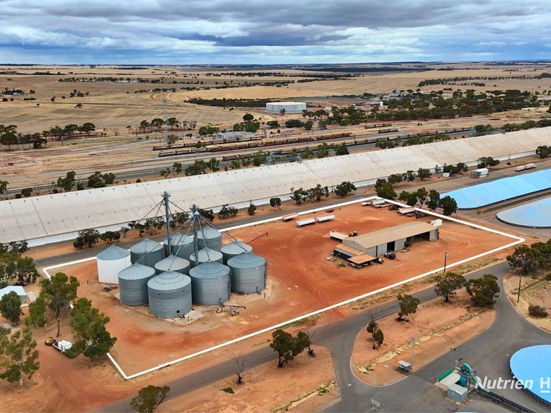 Lot 8 Gabo Avenue, Merredin WA 6415