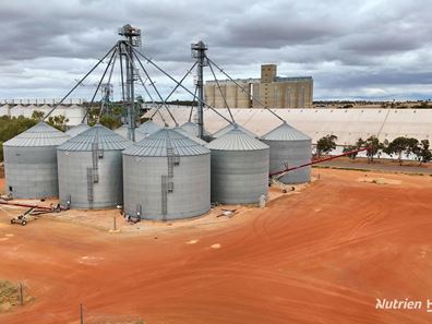 Lot 8 Gabo Avenue, Merredin WA 6415