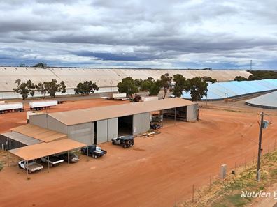 Lot 8 Gabo Avenue, Merredin WA 6415