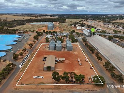 Lot 8 Gabo Avenue, Merredin WA 6415