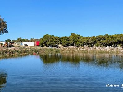 95 Teal Park Place (Neergabby), Gingin WA 6503