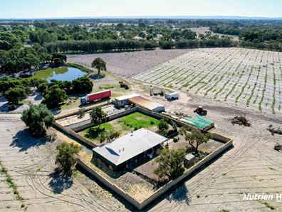 95 Teal Park Place (Neergabby), Gingin WA 6503