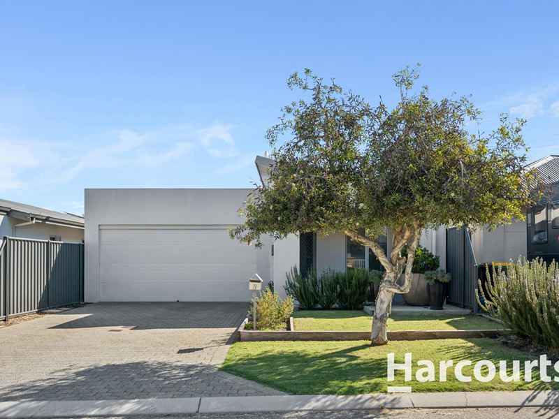 11 Mountain Street, Banksia Grove WA 6031