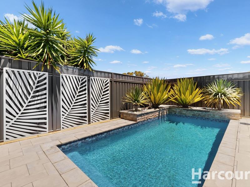 16 Press Street, Yanchep WA 6035