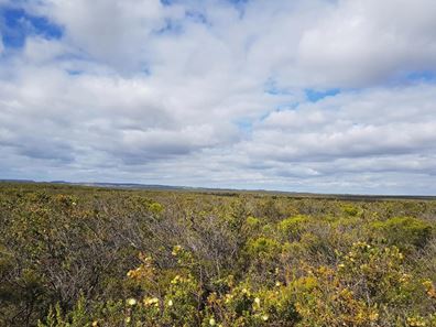 Lot 277, 277 PREMIER Drive, Jurien Bay WA 6516