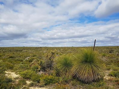 Lot 277, 277 PREMIER Drive, Jurien Bay WA 6516