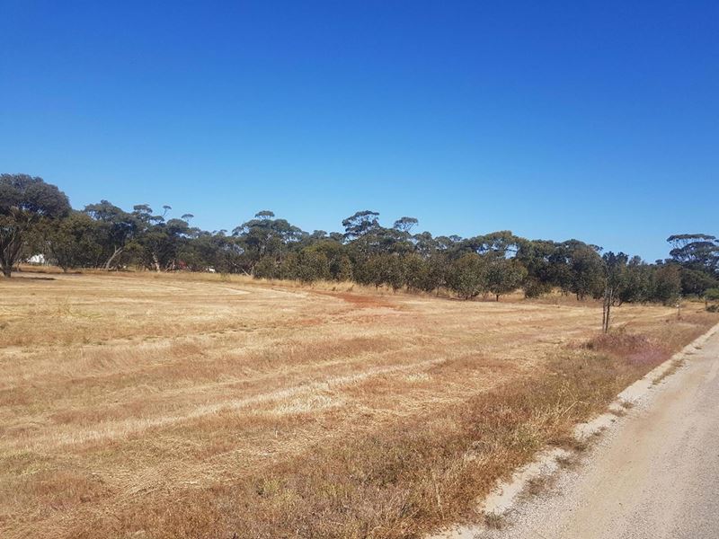17 Bottlebrush View, Moora WA 6510