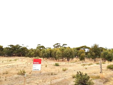 17 Bottlebrush View, Moora WA 6510
