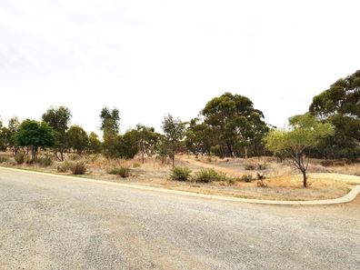 17 Bottlebrush View, Moora WA 6510