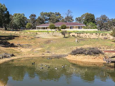 36 Wedgetail Ridge, Bullsbrook WA 6084