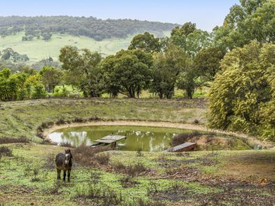 36 Wedgetail Ridge, Bullsbrook WA 6084