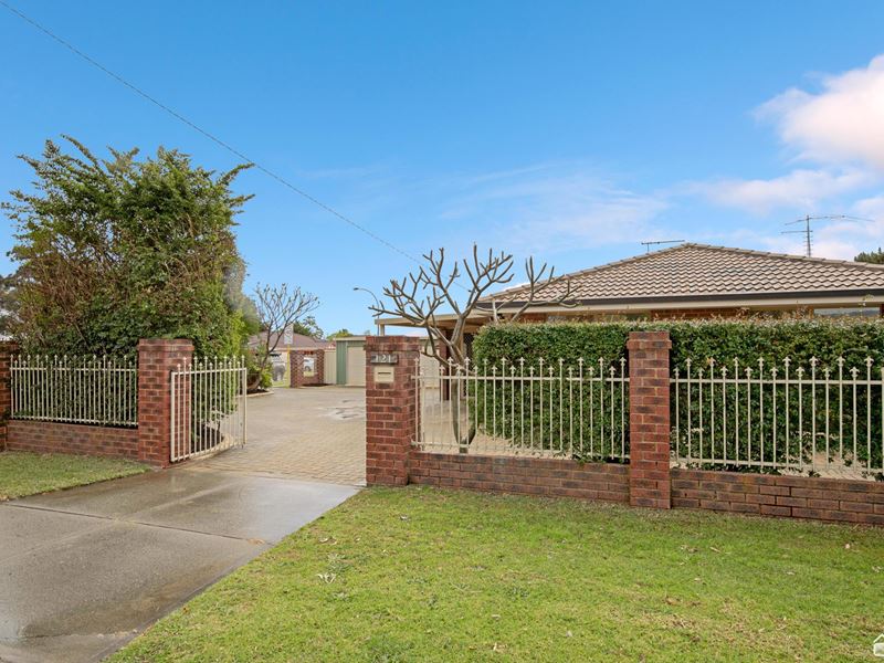 121 Braemore Street, Seville Grove WA 6112