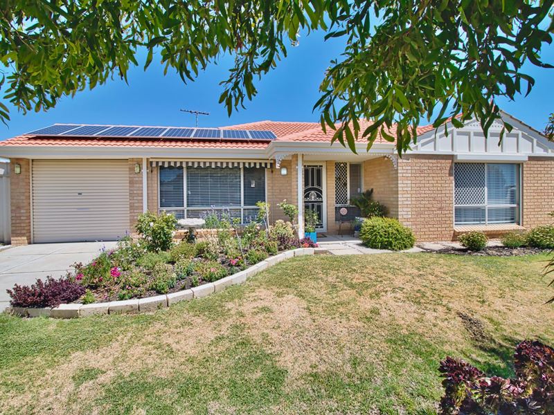 12 Eyre Street, Waikiki