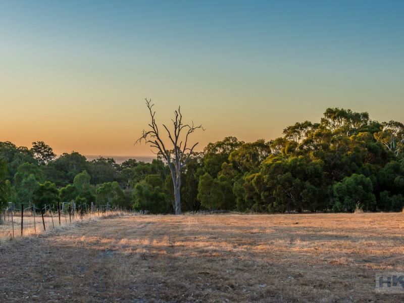 21 Evelyn Place, Bullsbrook