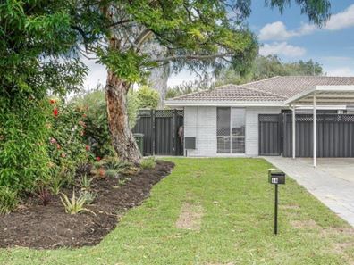 6A Savoir Court, Craigie WA 6025