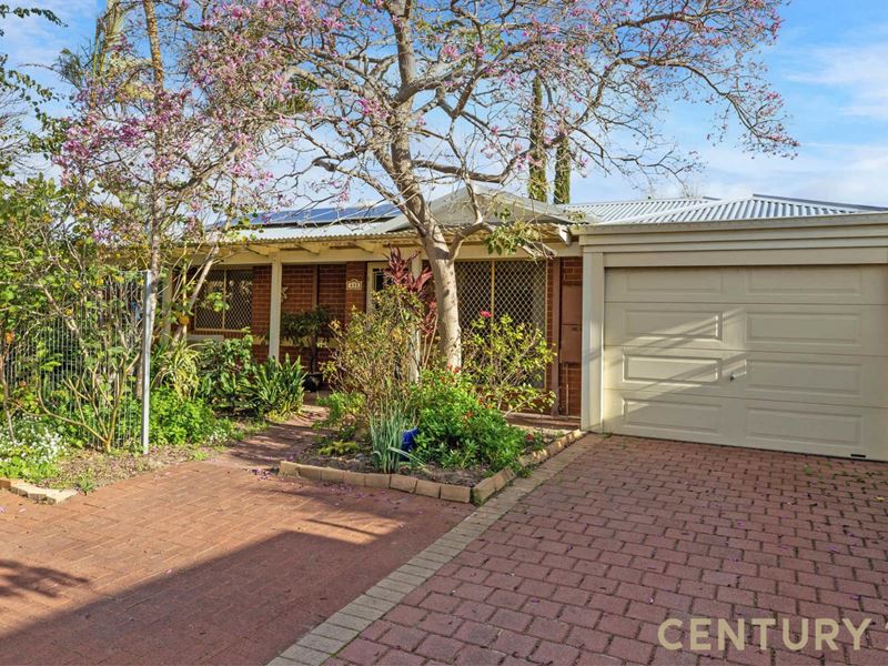 49B Raleigh Street, Carlisle
