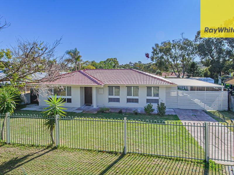 39 Redgum Avenue, Bellevue