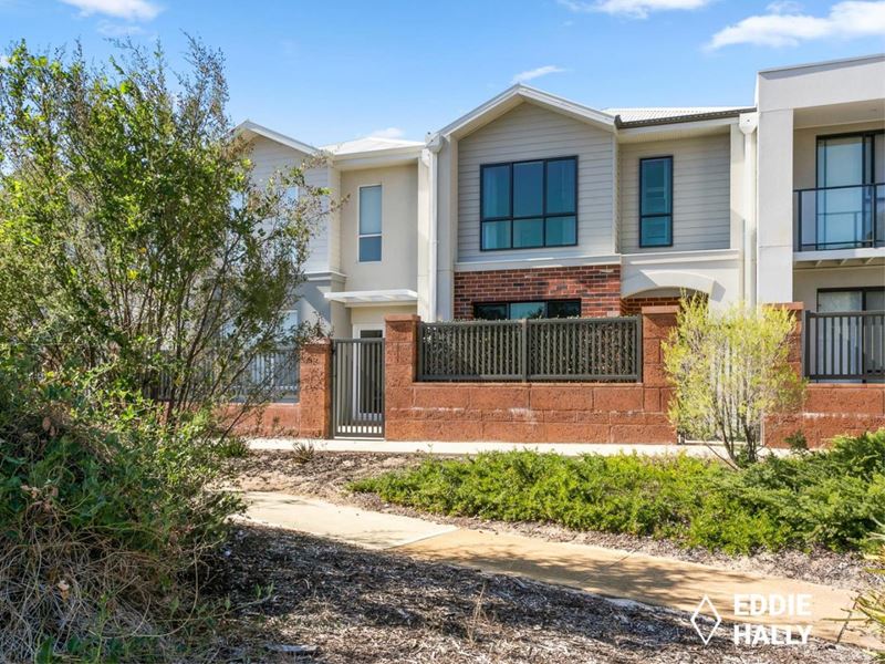 13 Tawny Lane, Wandi