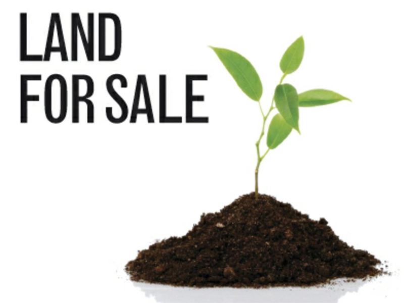 Lot 1091 Harvest Crescent, Whitby