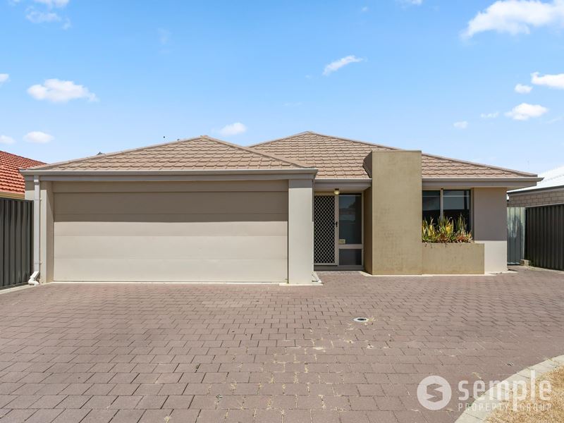 14 Rubens Circuit, Baldivis WA 6171