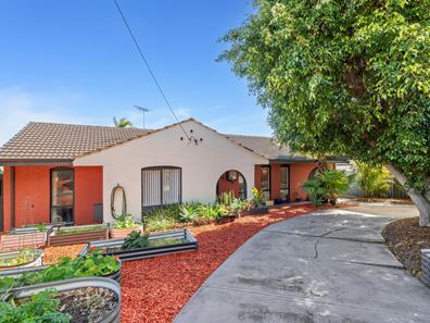 11 Scott Place, Hillarys WA 6025