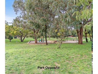 18 Quarndon Close, Carine WA 6020
