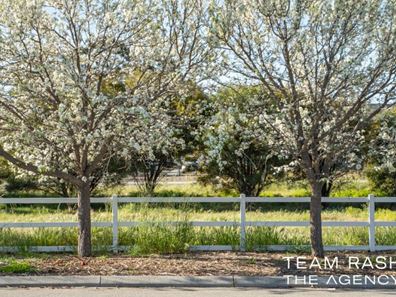 18 Daviesia Corner, Dayton WA 6055