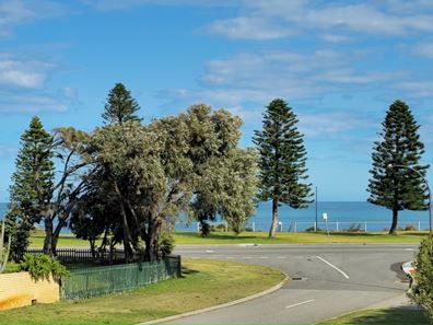 6 Churchill Avenue, Shoalwater WA 6169