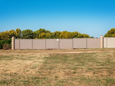 47 Eurithmic Link, Wandina WA 6530