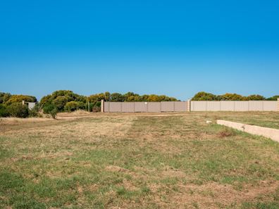 47 Eurithmic Link, Wandina WA 6530