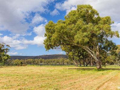 209 Wungong South Road, Darling Downs WA 6122