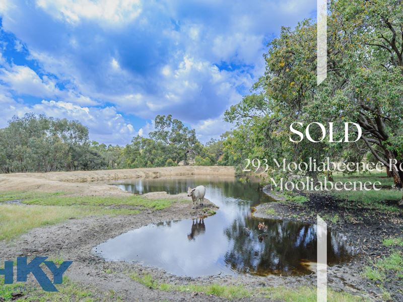 293 Mooliabeenee Road, Mooliabeenee WA 6504