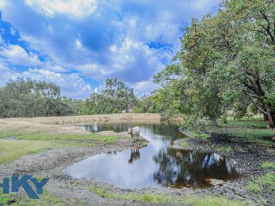 293 Mooliabeenee Road, Mooliabeenee WA 6504