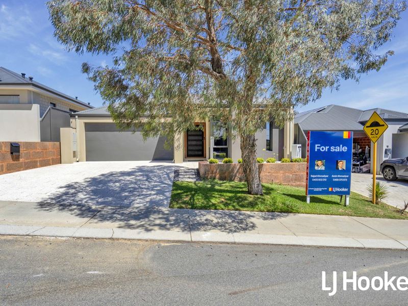 18 Saltbush Street, Wandi