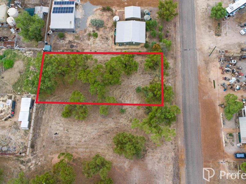 27 Oliver Street, Mingenew WA 6522