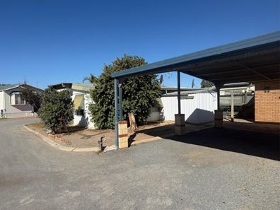 Site 11/50 Waldeck Street, Dongara WA 6525