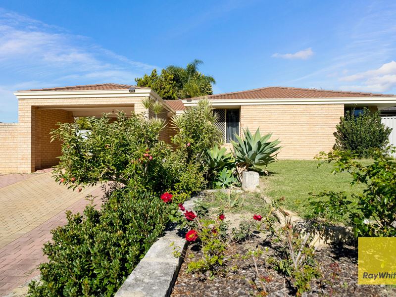 7 Magna Cove, Mirrabooka WA 6061