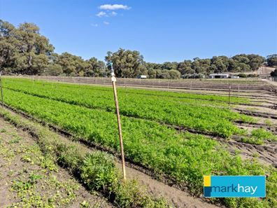89 Fletcher Road, Karnup WA 6176
