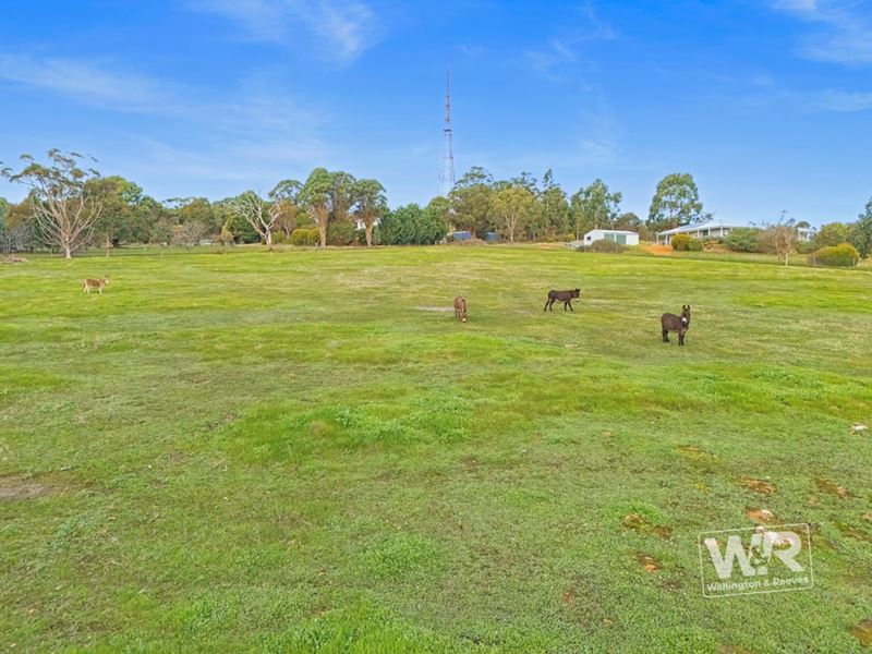 Lot 301 Mount Barker Road, Mount Barker WA 6324