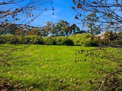 33 Balmoral Drive, Bridgetown WA 6255
