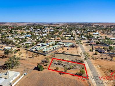 54 Essex Street, Northampton WA 6535