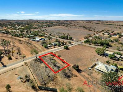 54 Essex Street, Northampton WA 6535