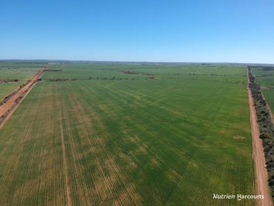 1141 Arrinooka Road, Canna WA 6627