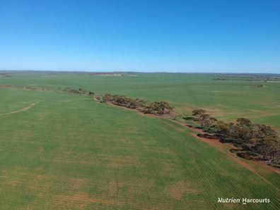 1141 Arrinooka Road, Canna WA 6627