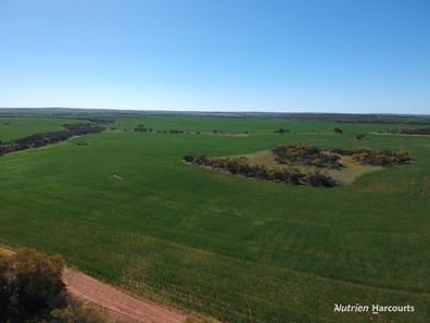 1141 Arrinooka Road, Canna WA 6627