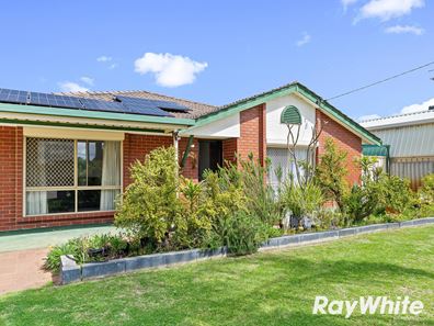 50 Marshall Avenue, Pinjarra WA 6208